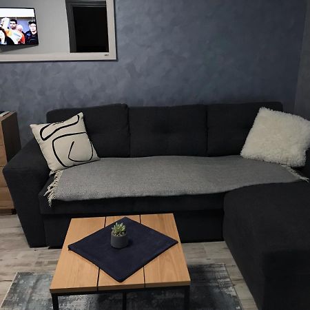 Homely Apartment Сучава Екстер'єр фото