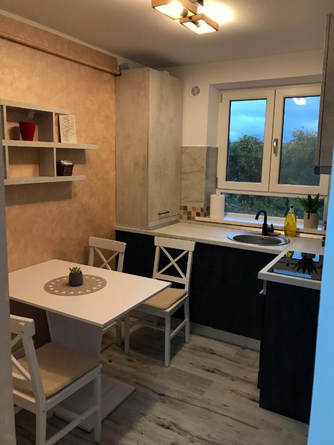 Homely Apartment Сучава Екстер'єр фото
