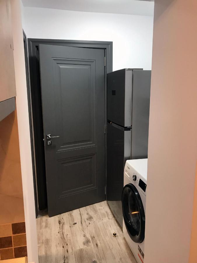 Homely Apartment Сучава Екстер'єр фото