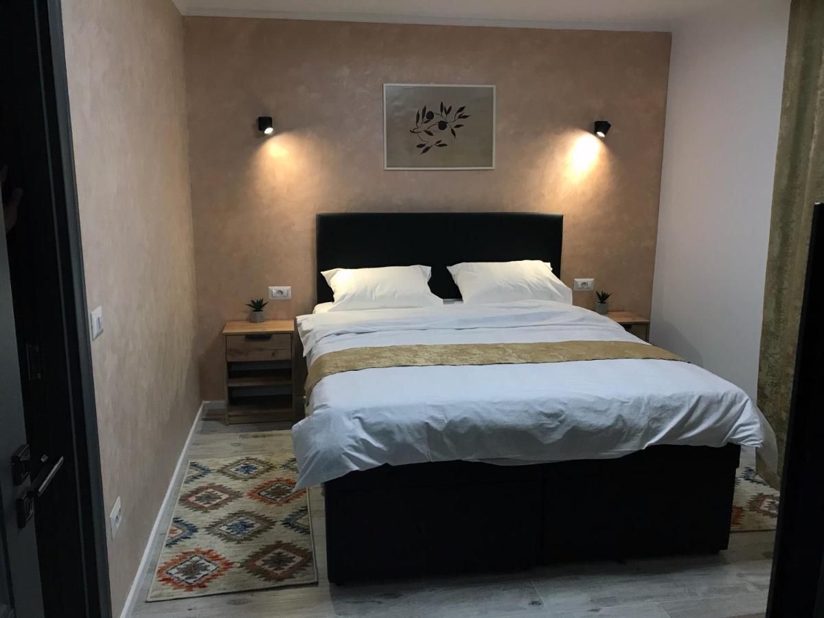 Homely Apartment Сучава Екстер'єр фото