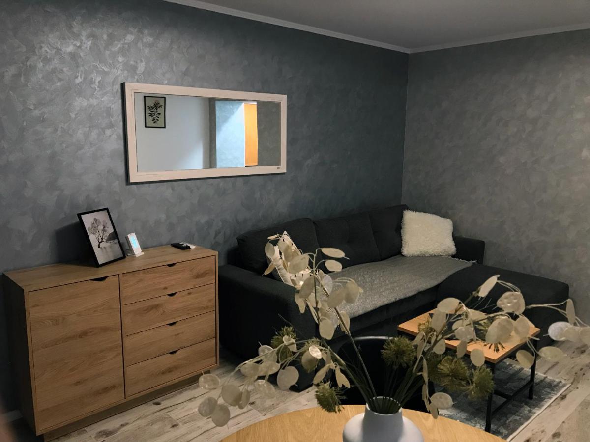 Homely Apartment Сучава Екстер'єр фото